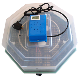 Incubator oua Cleo 5DTh