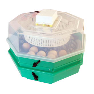 Incubator oua CLEO 5x2D
