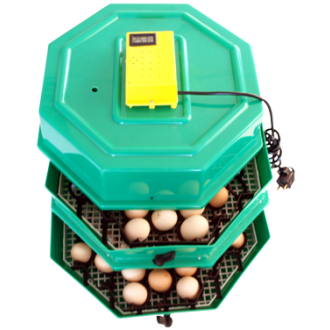 Incubator oua CLEO 5x2DT