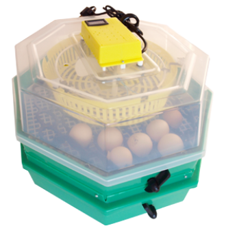 Incubator oua CLEO 5x2DTH alimentare apa