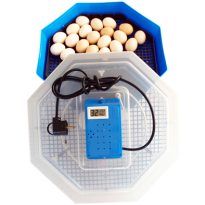 Incubator oua Cleo 5Th
