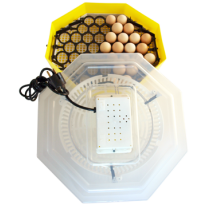 Incubator oua Cleo 5D