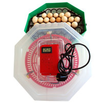 Incubator oua Cleo 5DT