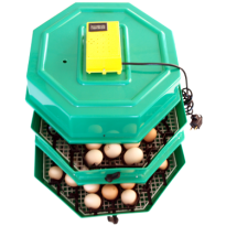 Incubator oua CLEO 5x2DT