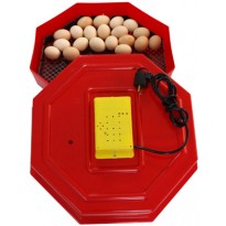 Incubator oua Cleo 5