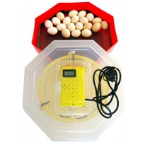Incubator oua Cleo 5T