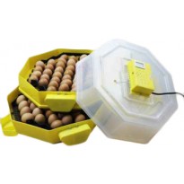 Incubator oua CLEO 5x2DTH automat
